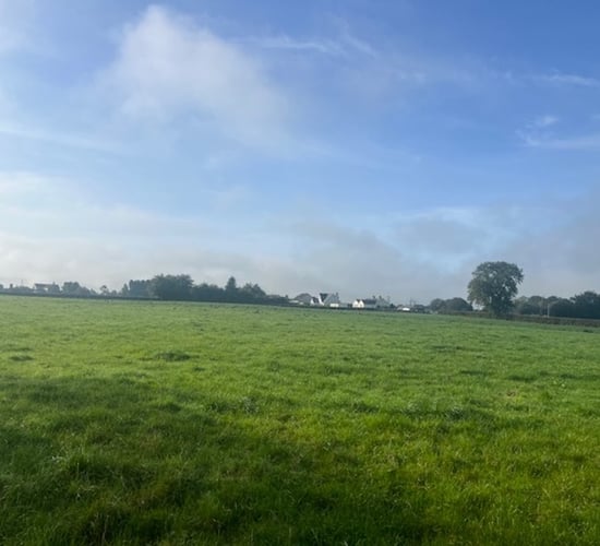 Knockroe, Tipperary land hailed as 'exceptional turnkey farm'