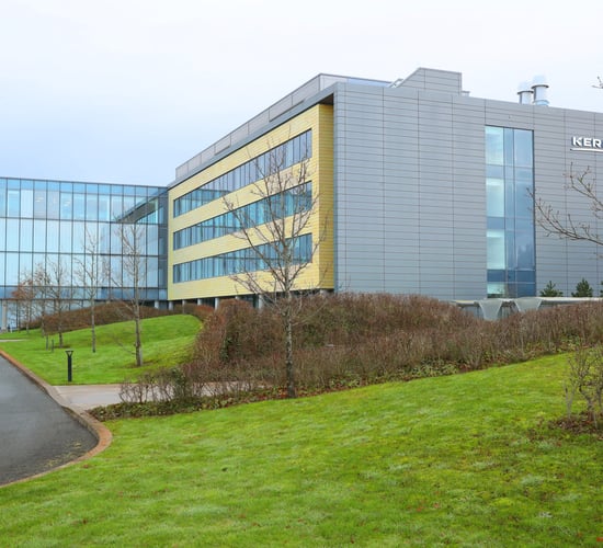 Kerry Group reports revenue of €8 billion for 2024