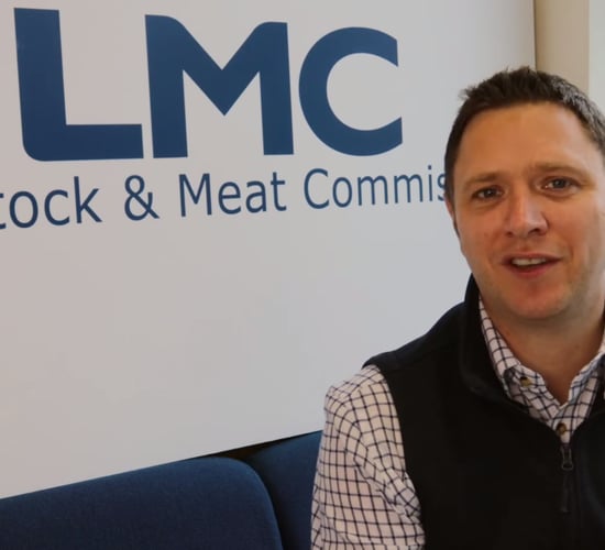 LMC carbon surveys: Research and development phase continues