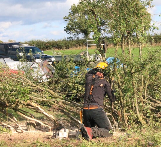 All-Ireland Hedge Laying Championships set for Down this weekend