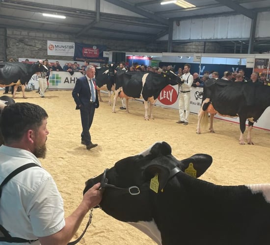 How to get to the AXA National Dairy Show