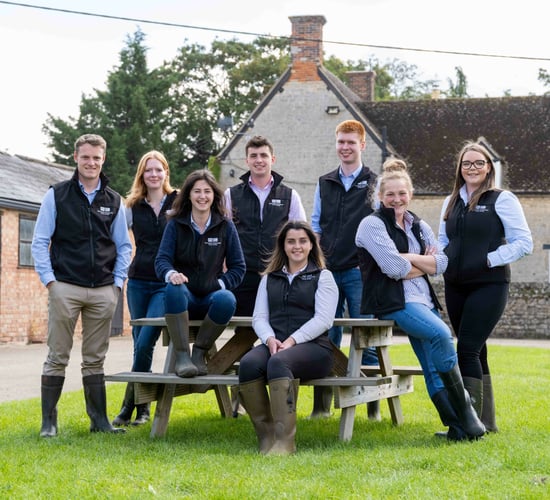 McDonald's opens Progressive Young Farmer programme