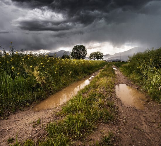DAFM urged to suspend inspections as weather deteriorates