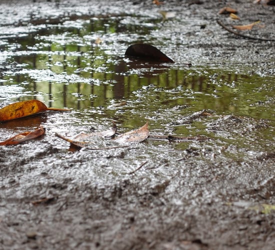 Weekend weather: Changeable and unsettled with milder temps