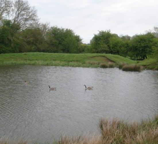 Trinity professor calls for private funding for 'ecosystem services'