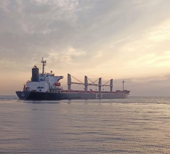 UK food exports to EU down 34.6% since Brexit - FDF