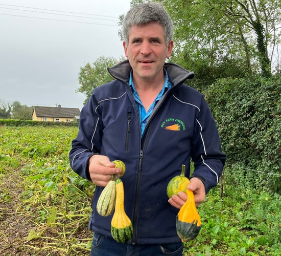 Watch: Produce and pumpkin farm in Meath attracts thousands