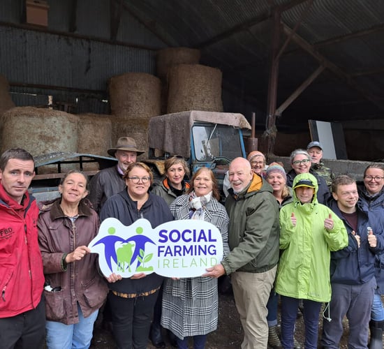 Social farming awareness week throws open gates to 5 farms