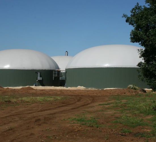IrBEA: Govt cannot leave liquid fuel imports to the EU