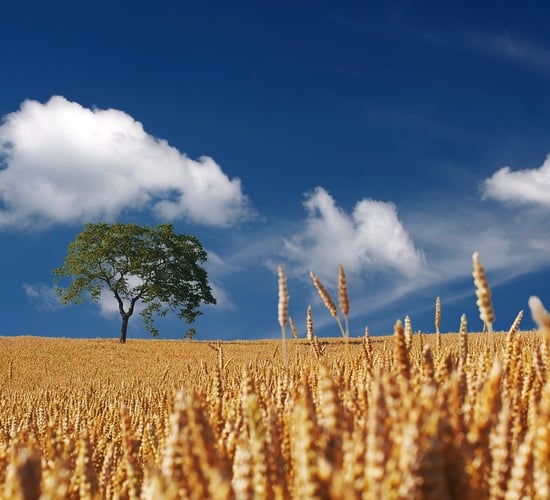 EPA announces climate projects to receive total of €6.9m