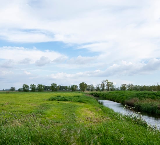 Land in Wexford had nearly double its yearly P loss after day of rain