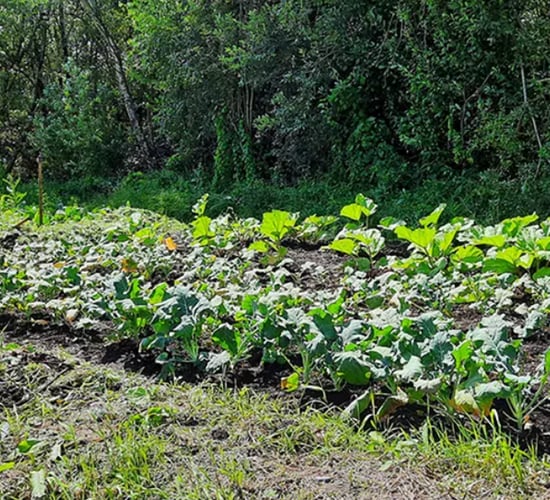 23 farmers receive payments for 'regenerating' farmed peatlands