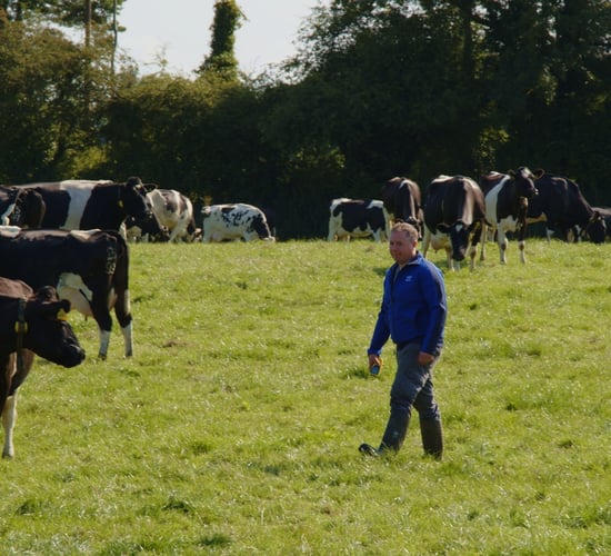 Using tech to improve efficiency and reduce labour in Tipperary