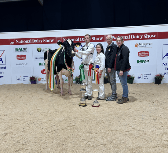 Dreams surpassed at AXA National Dairy Show