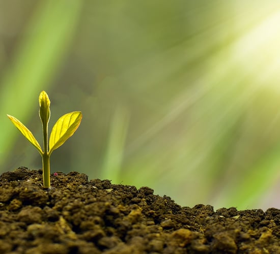 Ireland to host 2026 Global Bioeconomy Summit