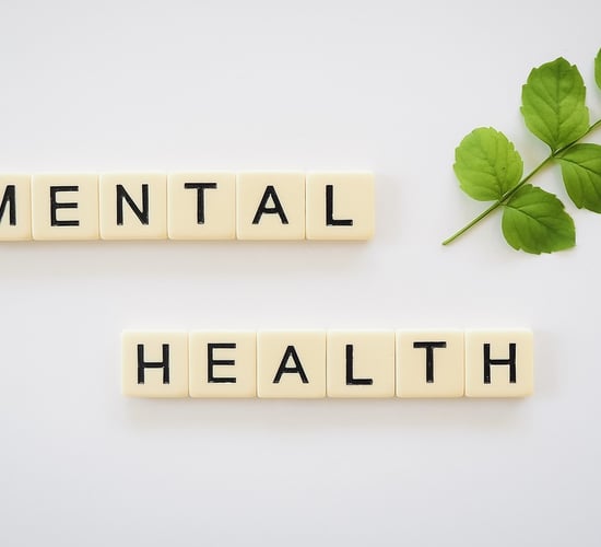 Webinar on maintaining mental health in farming