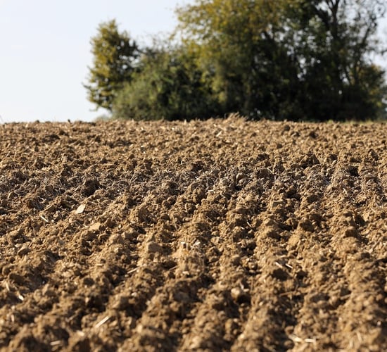 Has the potential of soils to sequester carbon been overestimated?
