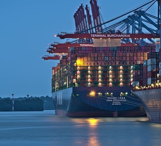 NI vet strike leaving ports and airports at 'limited capability'