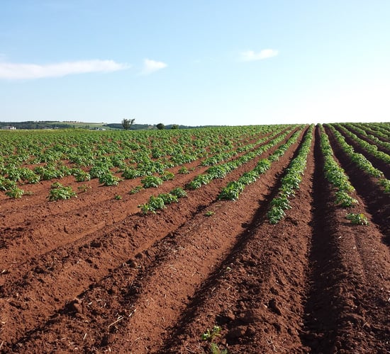 Map outlines how agri-food system can protect microbiomes