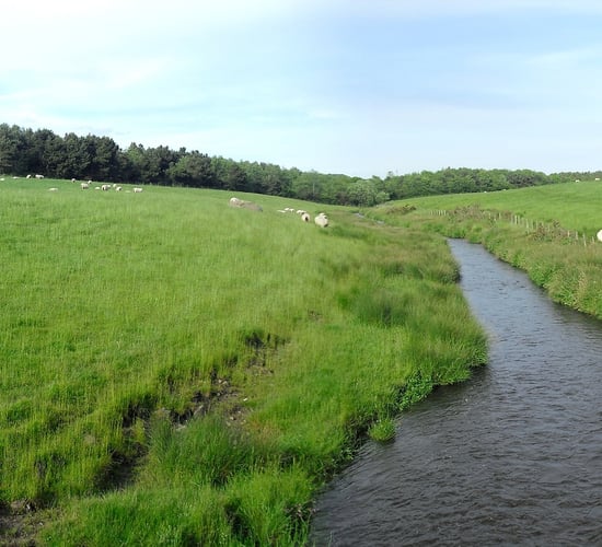 Consultation launched on Water Action Plan for 2028-2033
