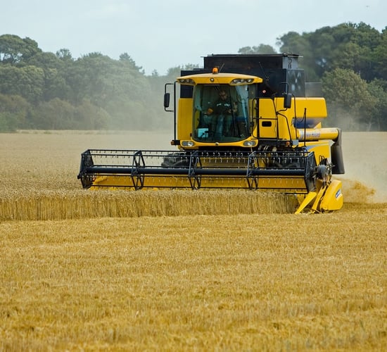 Copa Cogeca expects 'modest improvement' in EU cereal harvest