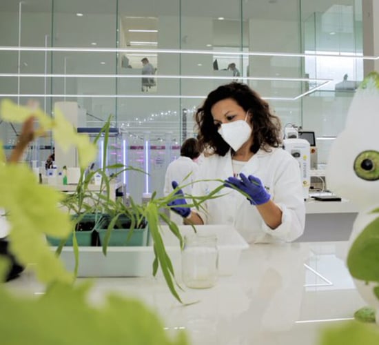 Italy bans lab-grown meat due to social and economic risks