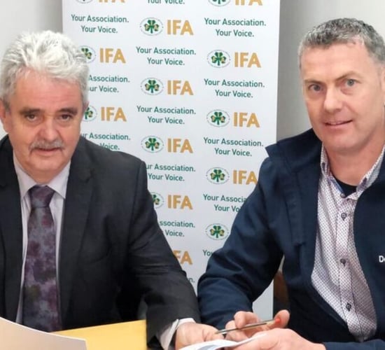 Adrian Gallagher elected as new IFA sheep chair