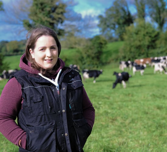 Westmeath dairy farmer joins Lakeland Dairies board