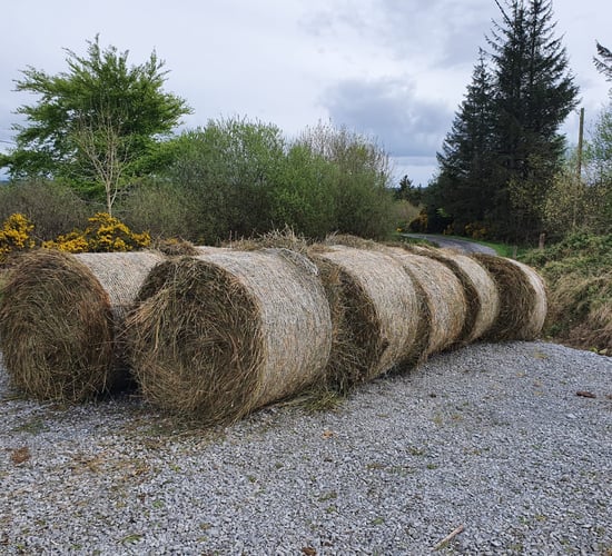 How rushes can be utilised to reduce on-farm emissions