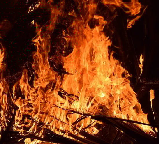 665 herds identified for illegal burning in 2023 - DAFM