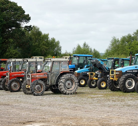 Wilsons Auctions awarded latest Bord na Móna contract