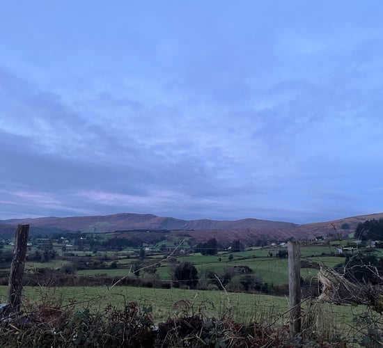 IRL: Investment and engagement needed for rural Ireland to thrive
