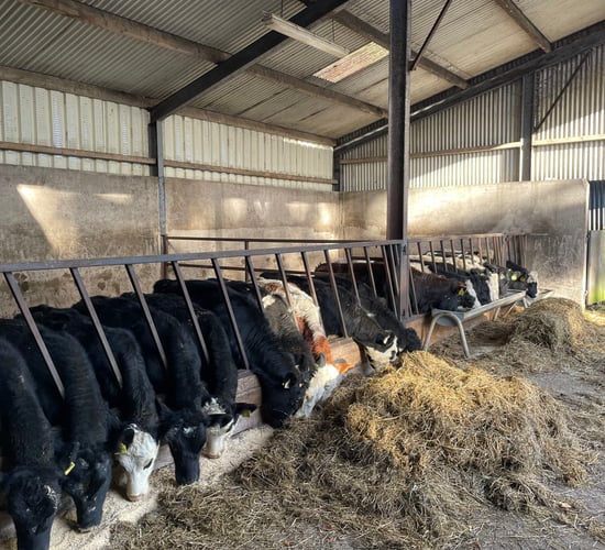 Changes to DBI set to appear in November evaluations