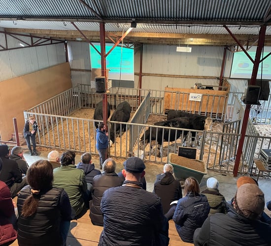 Beef farmers supplying ABP visit ICBF Tully research facility