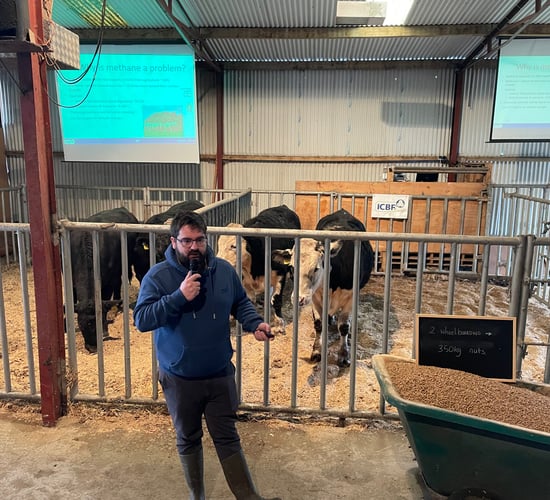 'The best additive to reduce methane is high-quality grass' -ICBF