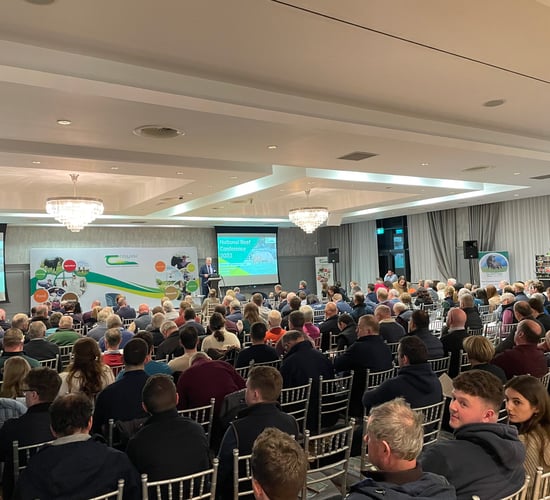 Irish/UK beef price differential explained at beef conference