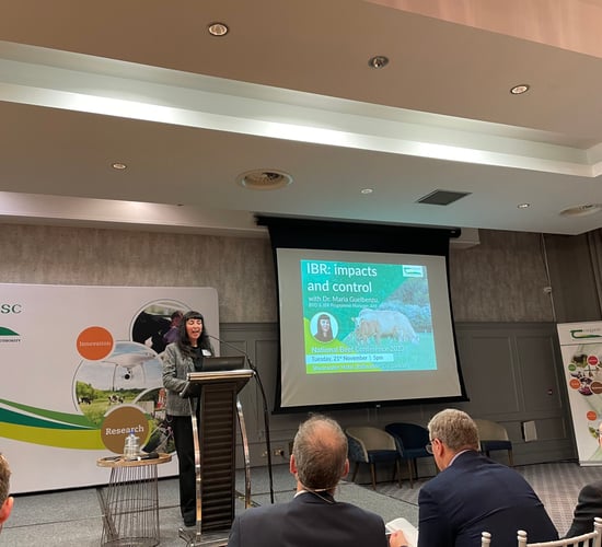 AHI outlines IBR free status will be a 16-year journey
