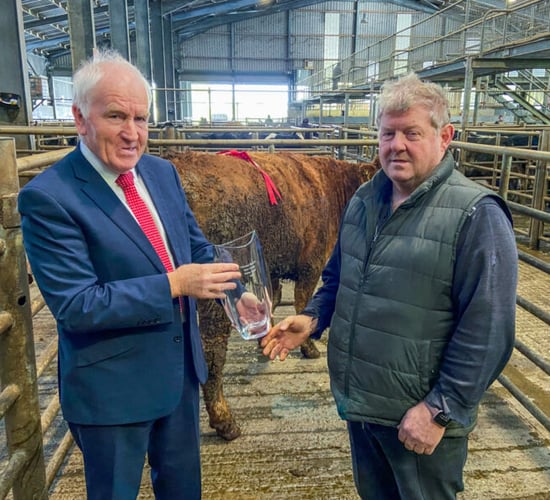 Limerick farmer awarded Best Factory Heifer Award in Listowel