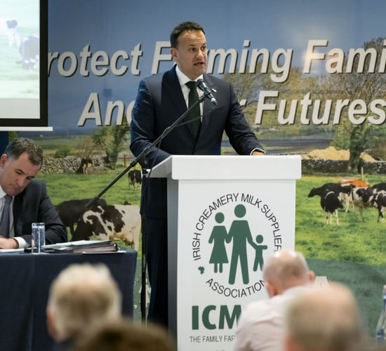 EU states see derogation as 'competitive advantage' - Taoiseach