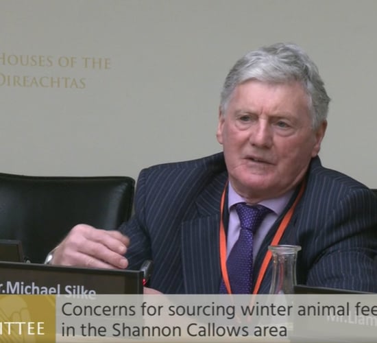 Ag committee told 'no fodder saved' because of Shannon flooding