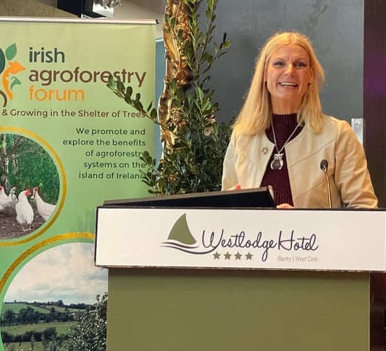 Watch: Ash dieback plan due before Cabinet in 2 weeks - minister