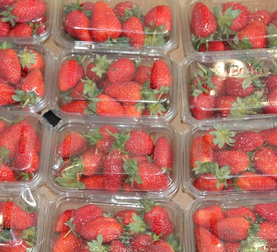 'Relief' for farmers as MEPs vote on packaging waste