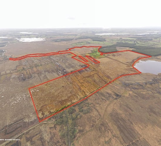 'Biodiversity wonderland' in Roscommon offered for sale