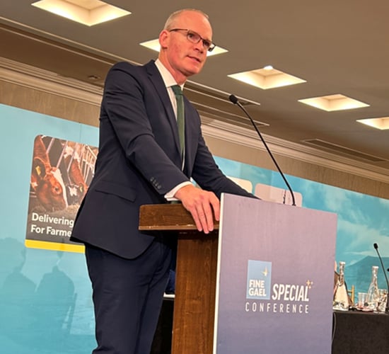 Coveney not making himself 'available to serve in cabinet'