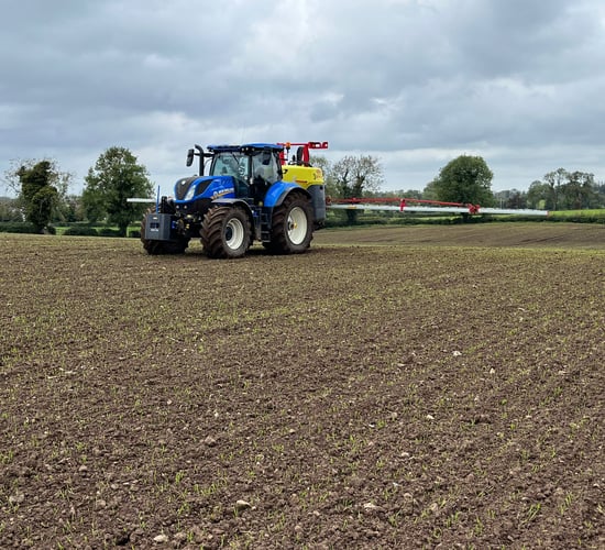 The threat of herbicide resistance in grass weeds
