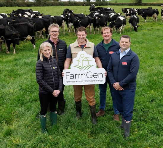 Tirlán and Dairygold join forces to expand solar PV programme