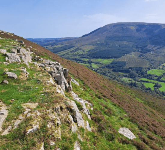 Heydon announces opening of ACRES Landscape Actions