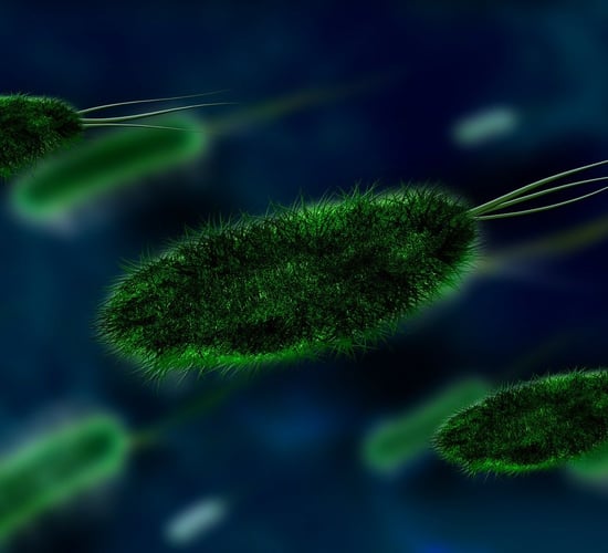 Research: Antibiotic removal not a 'reset button' for AMR