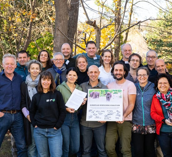 European organisations seek to scale up 'practical rewilding'