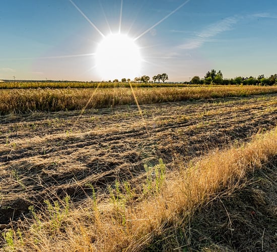 Extreme temperatures now more likely in Ireland - research